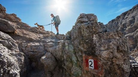 Wandern: Alpenüberquerung mit Hund: Ralfi, die Berge und ich