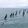 Solitaire du Figaro. Le parcours de la première étape va être modifié