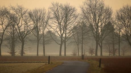 Etliche Millionen Menschen leiden bei Sand- und Staubstürmen