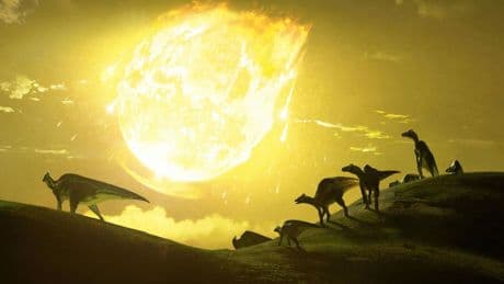Ni tiburones ni tortugas: este es el único animal que ha sobrevivido a dos extinciones masivas