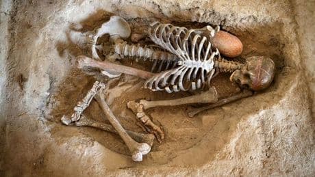 Archaeology breakthrough as 9,000-year-old bombshell found in major city