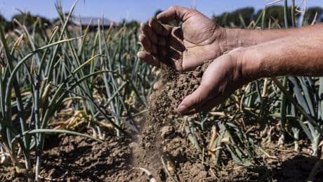 Klimaatraad: Nederland moet groots dromen over meeveranderen met klimaat
