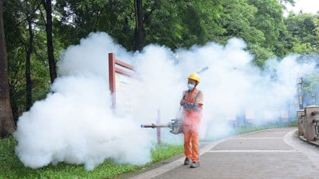 U.S. travel alerts issued as chikungunya outbreaks spread across China and the world