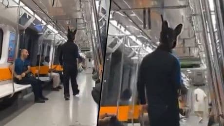 Metroda elinde tüfekle gezen tavşan kostümlü kişi gözaltına alındı
