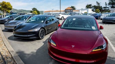 Los conductores franceses de Teslas demandan a la empresa por las excentricidades políticas de Elon Musk