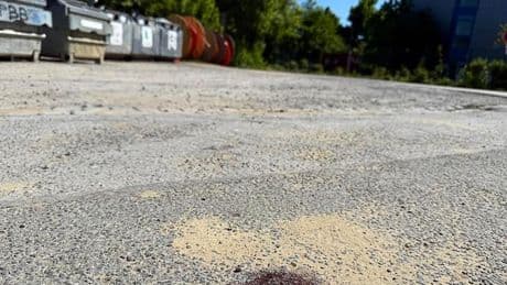 Kriminalität: 14-Jähriger in NRW getötet - 17-Jähriger tatverdächtig