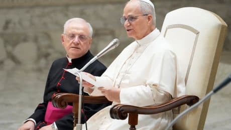 Pope Leo XIV denounces 'pandemic of arms' as he prays for victims of Minnesota school shooting