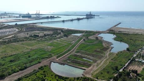 El puerto de Tarragona renaturaliza un valioso humedal de 38 hectáreas