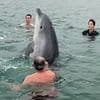 Marine experts issue worrying update about playful dolphin that joined family for swim in Dorset