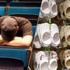 Depressief na dreigend vertrek van Nederland naar VS: Crocs gaat te ver met behandeling medewerker