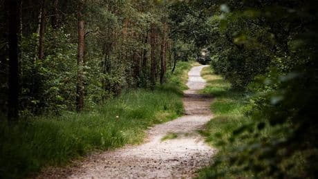 Tientallen tips binnen over ernstig zedenmisdrijf Zeist
