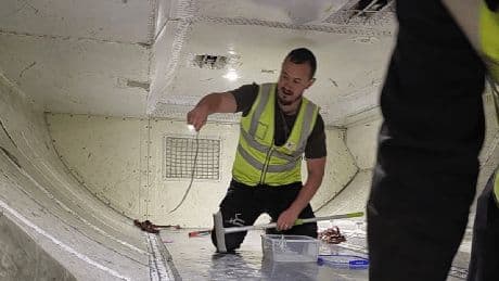 Snake on a plane! Flight delayed by two hours after 'dangerous looking' reptile found in plane's cargo hold