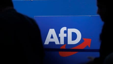 30 Millionen wert! - Muss die AfD jetzt ihren Goldschatz rausrücken?