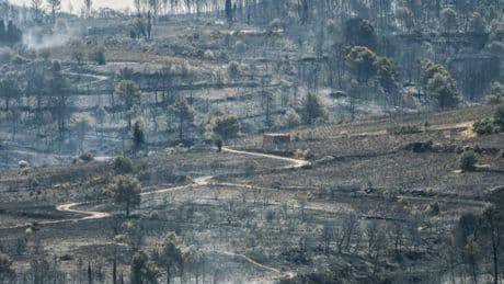 Incendies dans l’Aude : « Nous vivons une double catastrophe, écologique et économique » alerte le maire PCF de Camplong-d’Aude