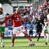 Saint-Étienne - Brest. Contre le Stade Brestois, les Verts joueront leur peau à Geoffroy-Guichard