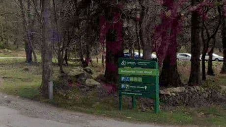 Police investigating reports of woman assaulted in Dalbeattie woods