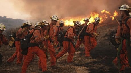 Brände in Kalifornien: „Diese Feuersaison ist wirklich hart“