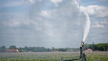 Les pénuries d’eau vont se généraliser l’été en France, alerte un rapport du Plan