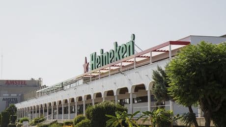 Heineken cifra en 677 millones su impacto en la economía valenciana