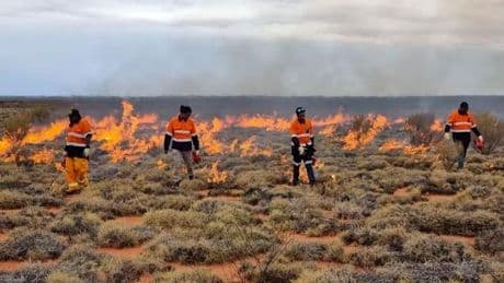 Los guardabosques queman el desierto en Australia para evitar que se propaguen incendios destructivos
