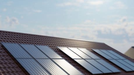 Dismay as Ed Miliband’s flagship Net Zero plan spared ahead of spending review