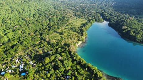 Fallo histórico: las medidas gubernamentales que impulsan el cambio climático son ilegales