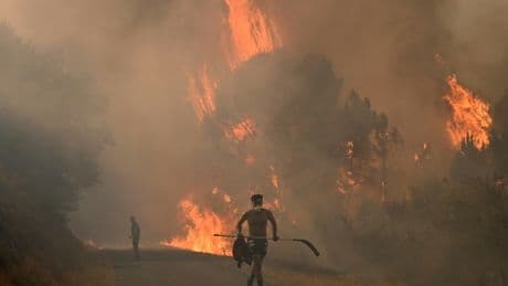 Incendies 2025 : déjà plus d'un million d'hectares détruits, un record historique dans l'Union européenne