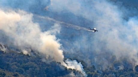 Tote nach Waldbränden: Der Süden Europas steht in Flammen
