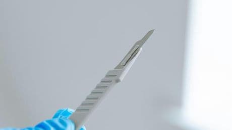 Transplantation von Tierorganen: Forschende transplantieren erstmals genetisch veränderte Schweinelunge
