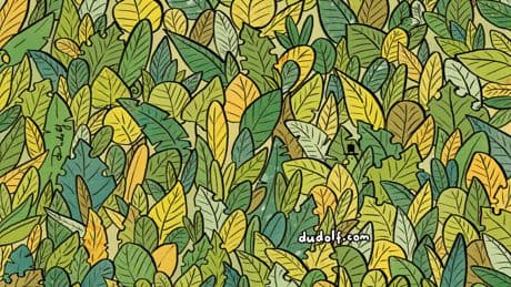 Wimmelbild der Woche - Finden Sie die drei Chamäleons?