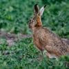 Wetterprognose: Temperaturen über 20 Grad zum Start in die Osterferien