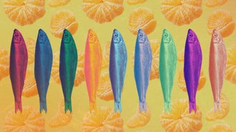 The 9 Most Underrated Healthy Foods
