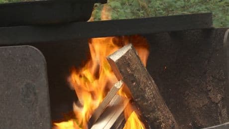 Nearly $30K in fines issued over illegal campfires on B.C. Day long weekend