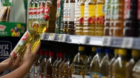 Los agricultores denuncian ante Competencia una «manipulación» en el precio del aceite de oliva