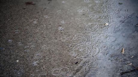Wetter: Starkregen in MV: Zunächst keine besonderen Vorkommnisse