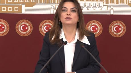 Koçyiğit: Somut değişiklikler olmadan Kürt sorunu çözülmüş diyebilecek miyiz?