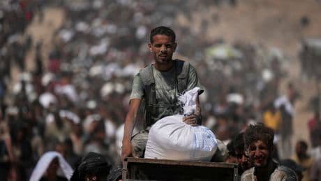 Top cabinet ministers at risk of losing seats even after Starmer recognises Palestinian state, pollsters warn