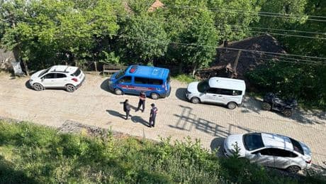 Karabük'teki köpek ölümleriyle ilgili inceleme başlatıldı