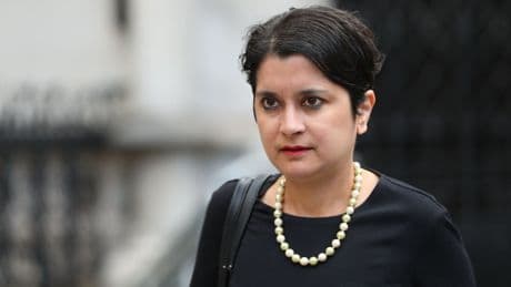 Palestine Action terror ban risks ‘I am Spartacus’ moment, Labour peer warns