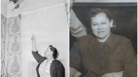 In 1954, an Alabama woman became the first known person to be directly hit by a meteorite &mdash; here's her strange story