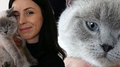 Kayıp kedi 'badem' sahibine kavuştu... Bulan kişi altınla ödüllendirildi