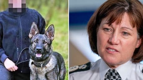 Vet report reveals hero dog had 'great prognosis' before death as police chief urged to 'come clean'