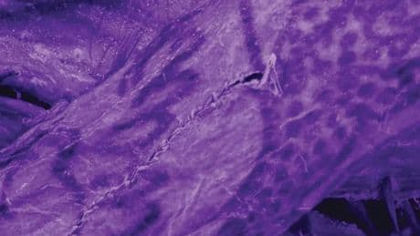 El sorprendente hallazgo en los tatuajes de una momia congelada de 2.000 años