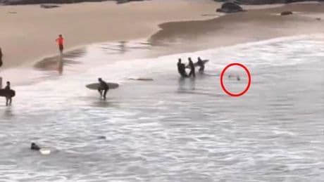 Chilling vid shows shark chase boy, 16, as he was hauled out of water with ‘arm left hanging off by sinew’ after attack