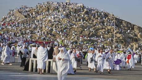 Muslim pilgrims seek forgiveness and shade on Mount Arafat during key Hajj ritual