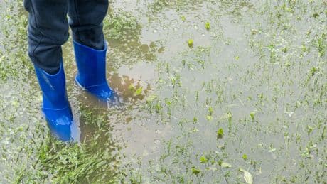 La météo du 1er juin : forts orages au sud, baisse des températures au nord