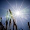 Endlich Sommer in Berlin und Brandenburg: Temperaturen steigen, kein Regen in Sicht