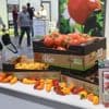 Le Medfel, plus grand rendez-vous français de la filière fruits et légumes, débute à Perpignan dans un contexte de baisse des ventes