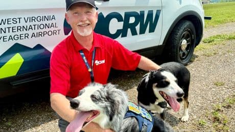 Pup patrol: The border collies preventing bird strikes at a busy airport