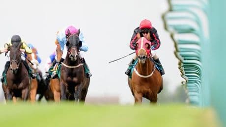 Newsboy's horseracing tips for Friday's five meetings including Yarmouth NAP
